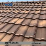 ngoi-nhat-bb09-light-chocolate-9
